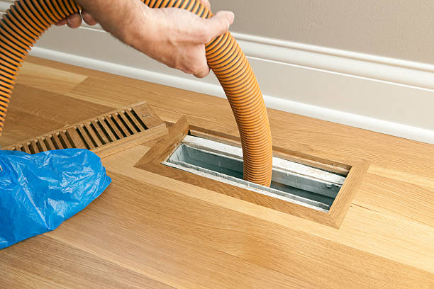 Best Air Vent Cleaning Services  in Eagle Grove, IA